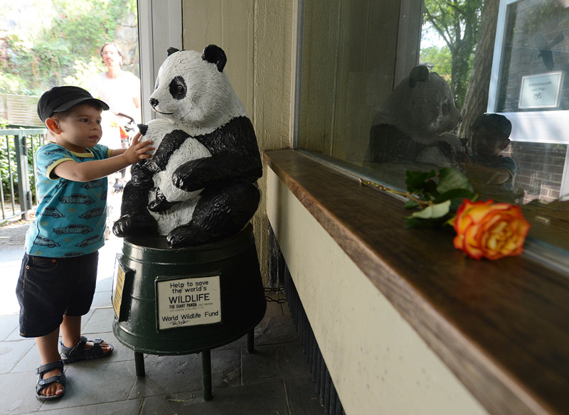 Muere el último panda gigante del zoo de Berlín