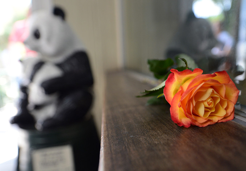 Muere el último panda gigante del zoo de Berlín