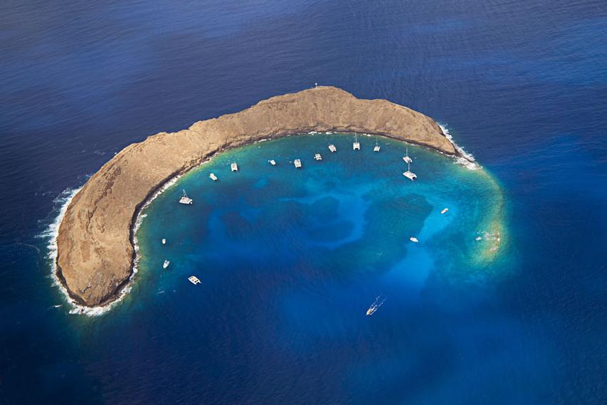 La magia de las vidas marinas en Hawaii 16