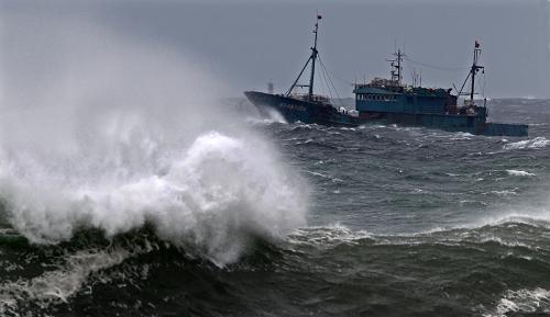 31 pescadores chinos desaparecidos en Rep. de Corea por tifón