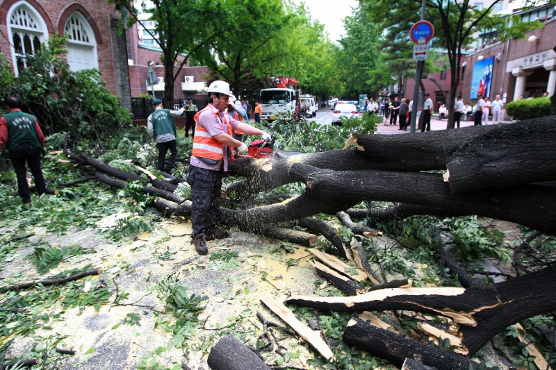 Al menos 15 muertos tras el paso del tifón Bolaven por Corea del Sur