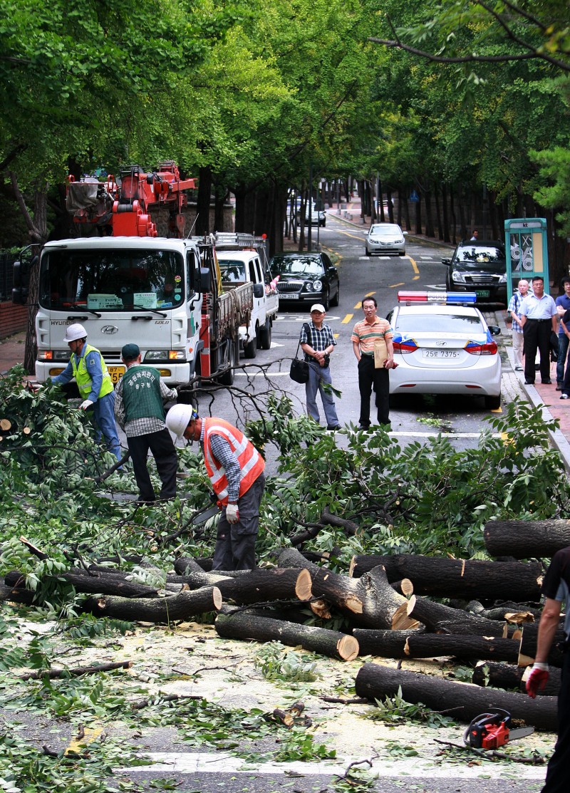 Al menos 15 muertos tras el paso del tifón Bolaven por Corea del Sur