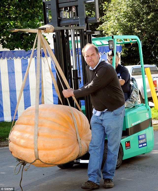 Verduras gigantes que nunca se ven 3