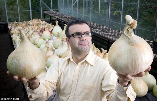 Verduras gigantes que nunca se ven 6