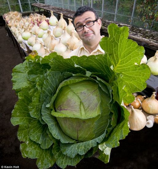 Verduras gigantes que nunca se ven 8