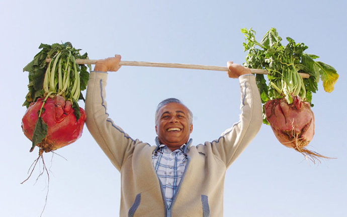 Verduras gigantes que nunca se ven 12