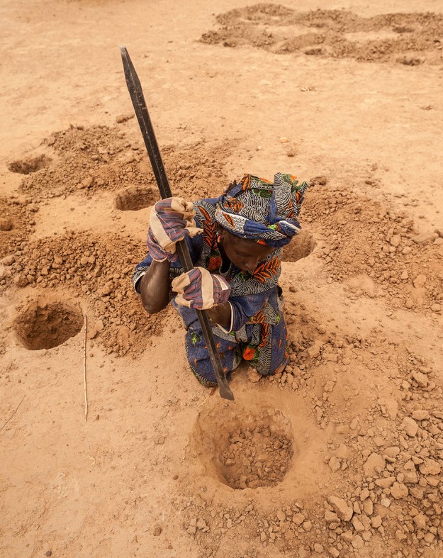 Vida dura de la gente de Mauritania bajo la sequía grave