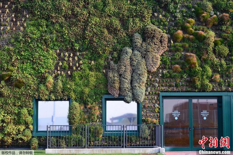 Jardín vertical más grande del mundo está en Italia