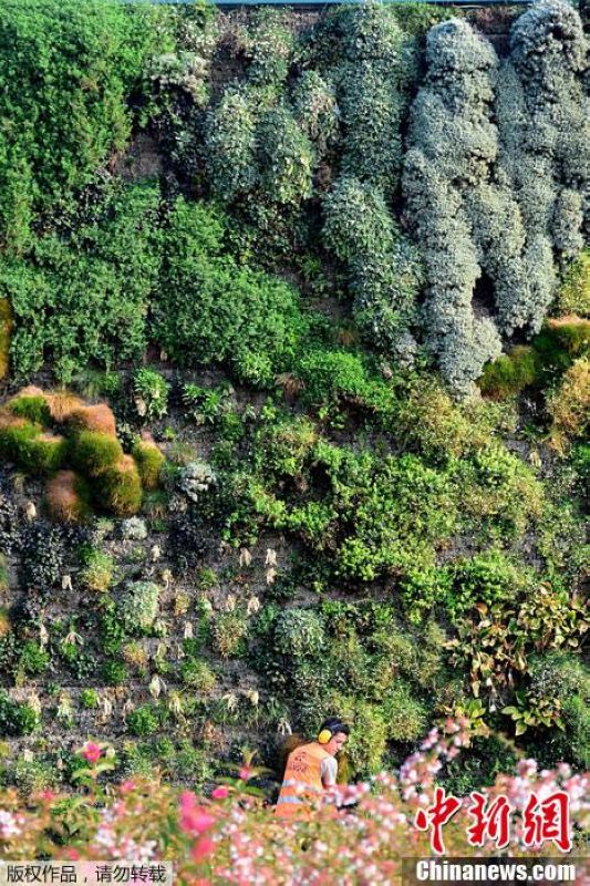 Jardín vertical más grande del mundo está en Italia