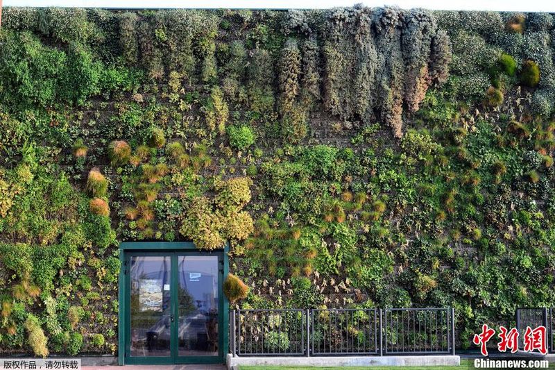 Jardín vertical más grande del mundo está en Italia