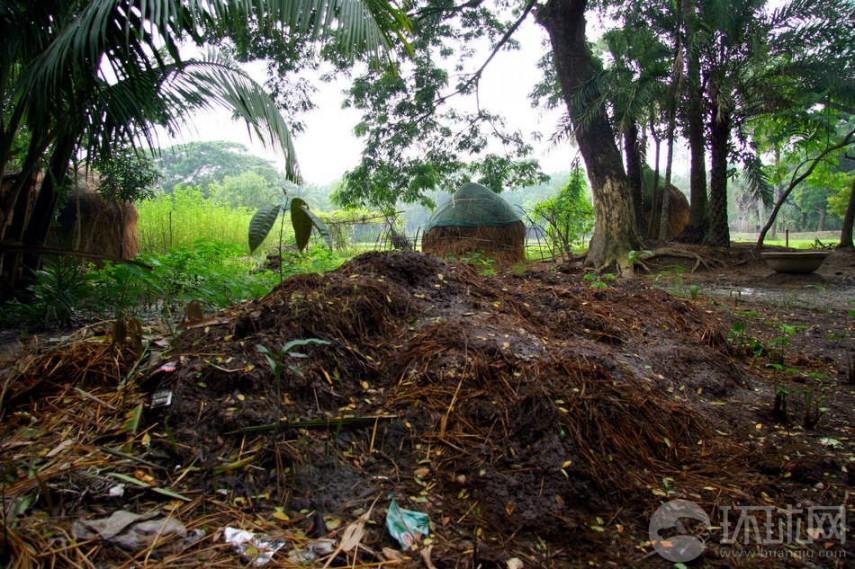 Bengala, lugar bonito bajo la sombra de la leishmaniasis