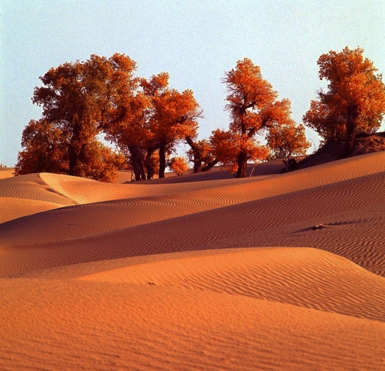 Los cinco desiertos más hermosos de China 4