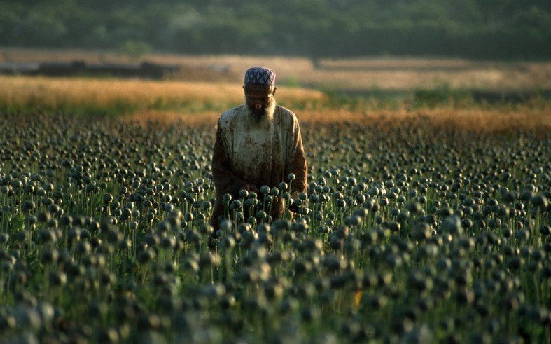 Documental: los usuarios de drogas en Pakistán