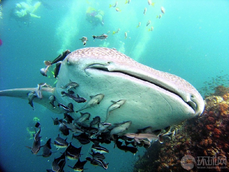 COLIN PARKER: Islas Galapagos