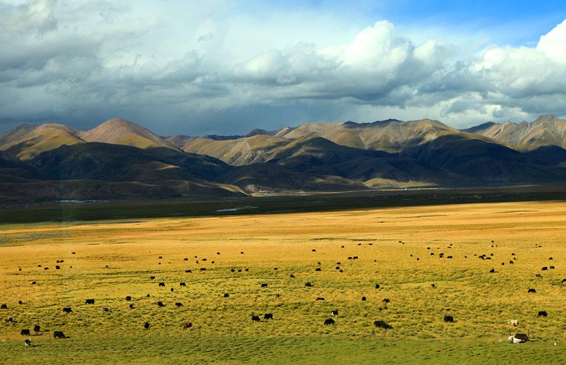 Paisajes pintorescos de Tíbet y Qinghai