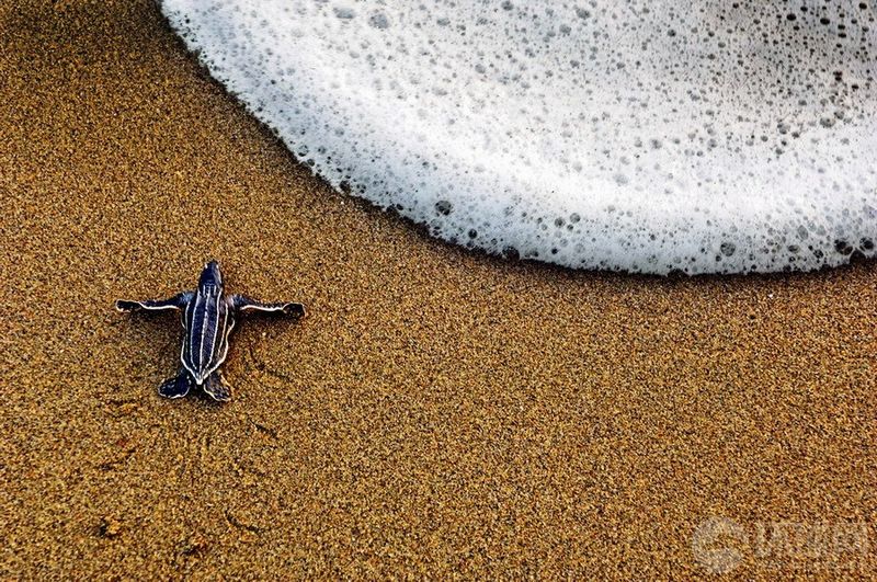 Muecas de la tierra – Selección de las mejores fotos de National Geographic