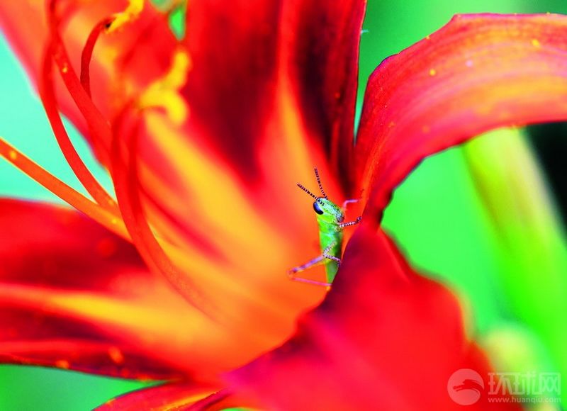 Muecas de la tierra – Selección de las mejores fotos de National Geographic