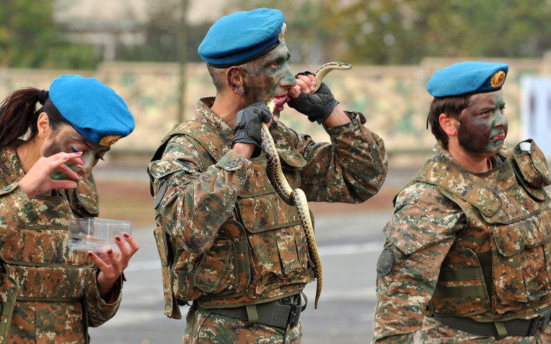 El día 10 de noviembre de 2012, en la celebración del 20 aniversario de la fundación del Reconocimiento Aéreo, Terrestre y Naval de Armenia, un explorador estaba comiendo una serpiente vivo.