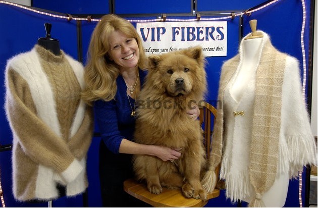 A la moda con lana de perro 