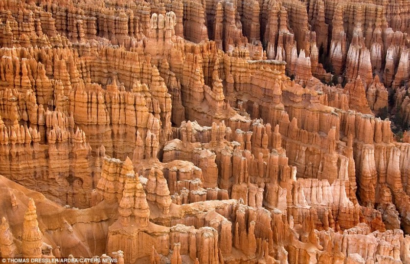 Los pilares de piedra caliza en el Parque Nacional de Bryce Canyon, EE.UU.