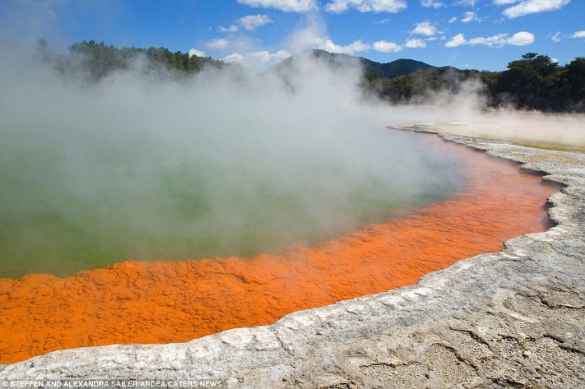 La Piscina de Champán de la aérea geotérmica de Wai-O-Tapu, Nueva Zelanda. La temperatura del agua en la piscina llega a 74 grados centígrados.