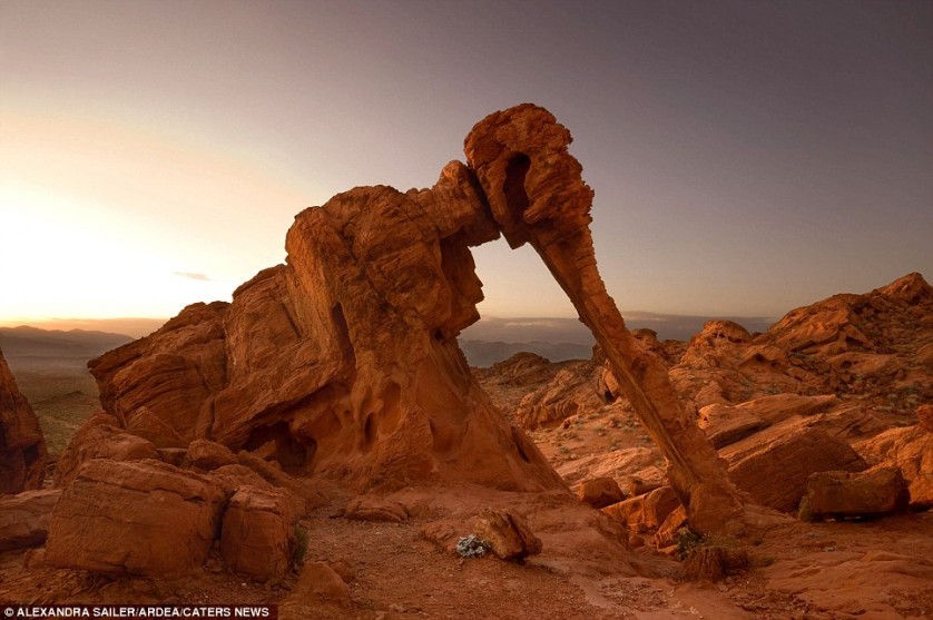 La roca parece a un elefante en el Parque Nacional de Fire Valley, Nevada, EE.UU.