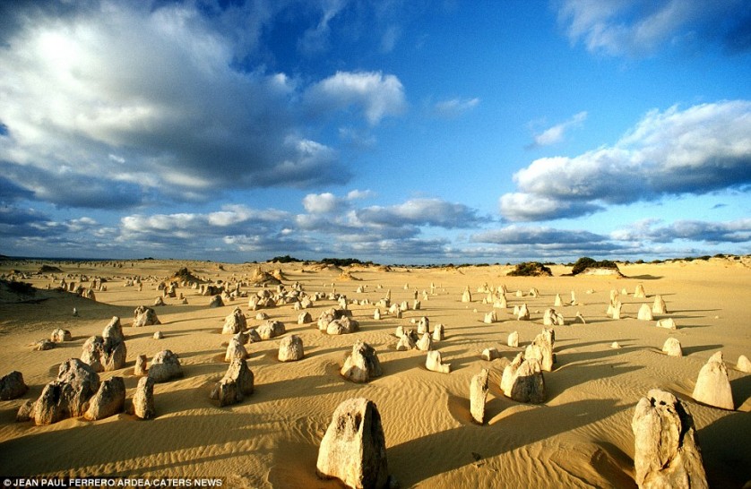 Los singulares bosques fósiles vivientes del Parque Nacional de Nambung del oeste de Australia fue formados hace 25 mil o 30 mil años.