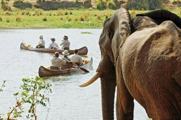 Zambia: parque 赞比亚