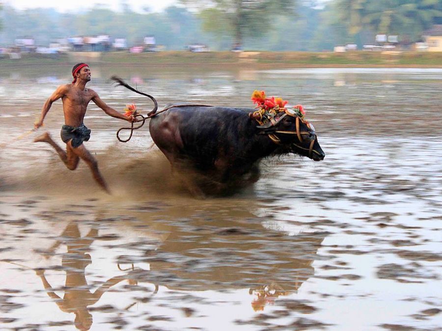 Selección de las fotos más bellas de National Geographic