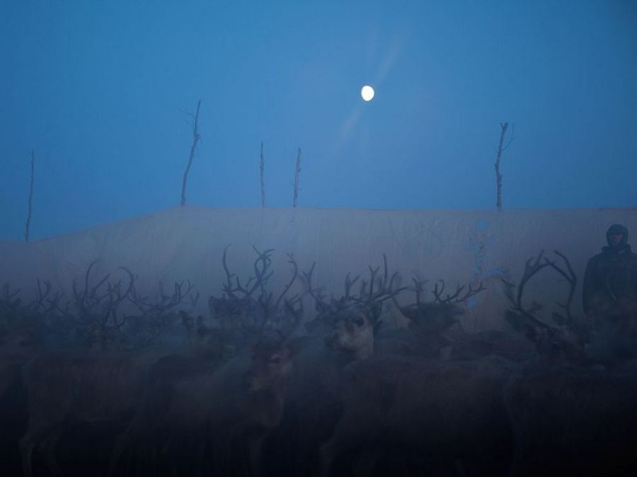 Selección de las fotos más bellas de National Geographic