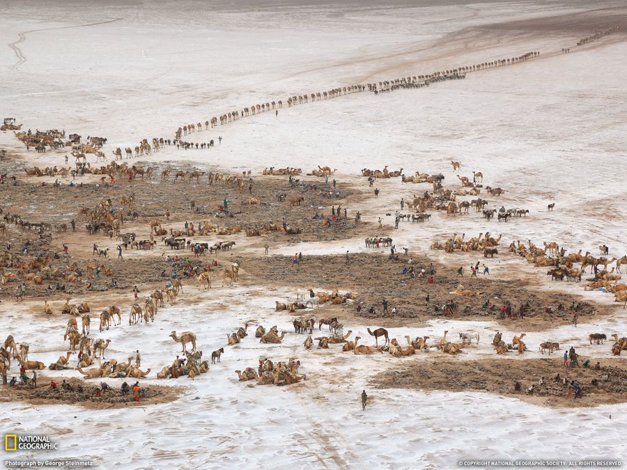 Selección de las fotos más bellas de National Geographic