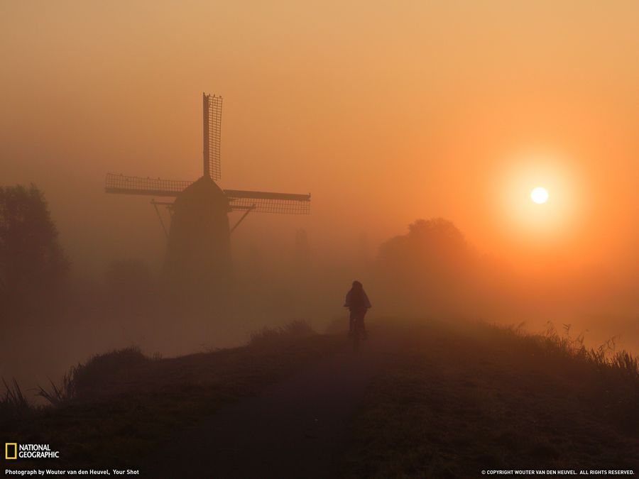 Selección de las fotos más bellas de National Geographic