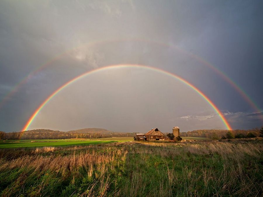 Selección de las fotos más bellas de National Geographic