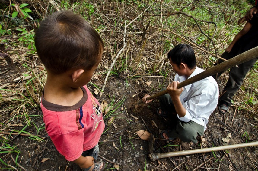 Infancia especial y horrible: los niños pobres de Camboya capturan y comen tarántulas venenosas