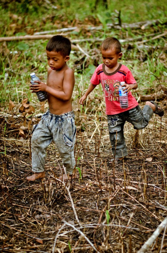 Infancia especial y horrible: los niños pobres de Camboya capturan y comen tarántulas venenosas