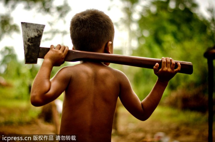 Infancia especial y horrible: los niños pobres de Camboya capturan y comen tarántulas venenosas