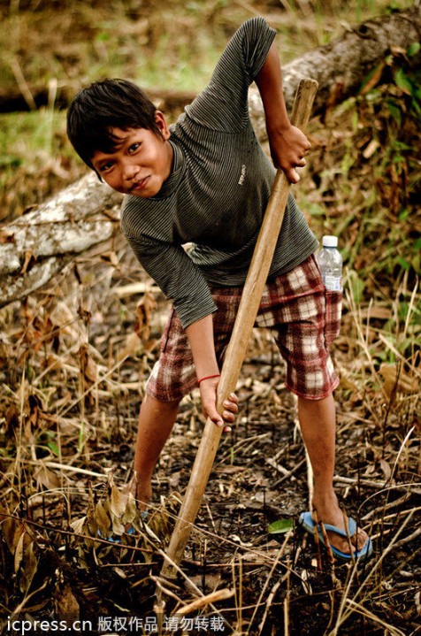 Infancia especial y horrible: los niños pobres de Camboya capturan y comen tarántulas venenosas