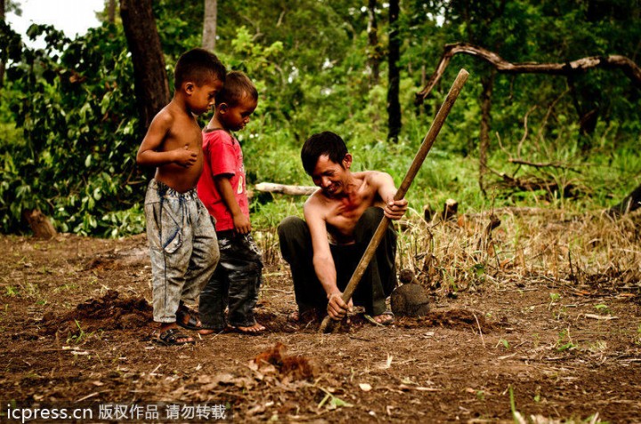 Infancia especial y horrible: los niños pobres de Camboya capturan y comen tarántulas venenosas