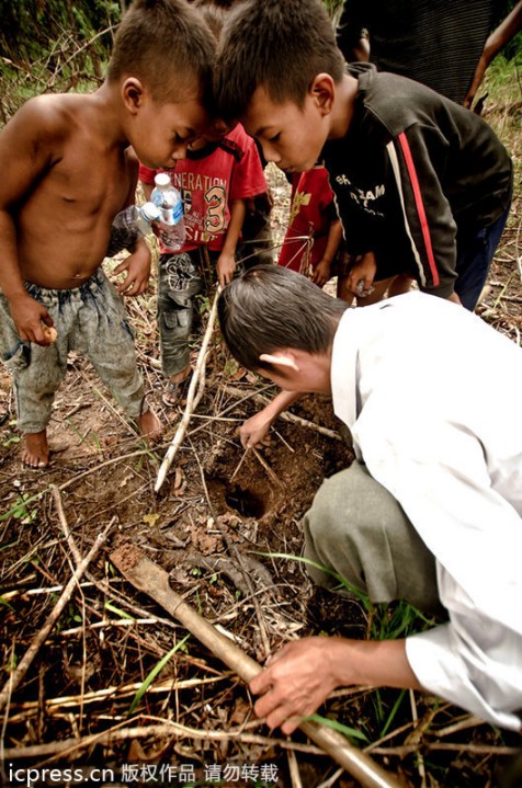 Infancia especial y horrible: los niños pobres de Camboya capturan y comen tarántulas venenosas