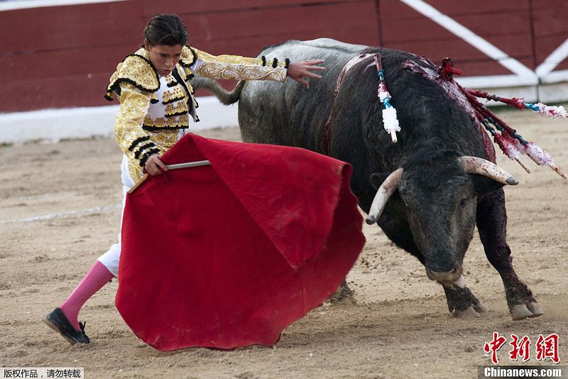 Michelito Lagravere,el matador de toros más joven de la historia.