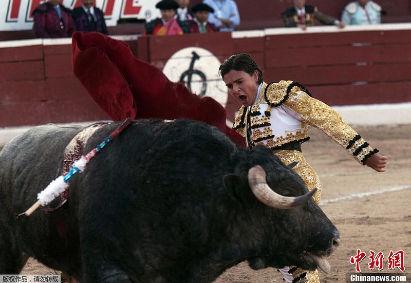 Michelito Lagravere,el matador de toros más joven de la historia.