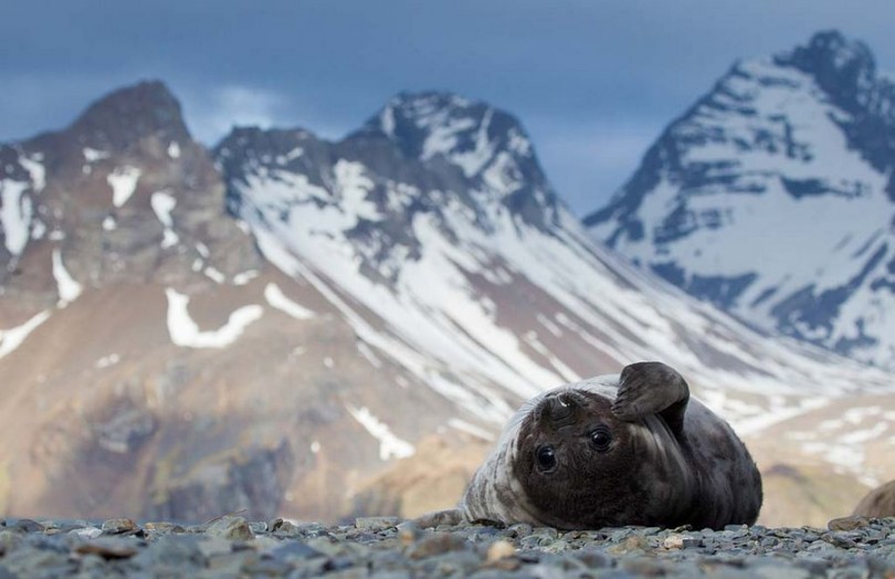 Selección de las mejores fotos de National Geographic 2012