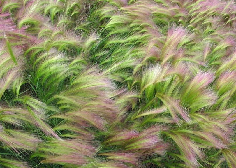 Selección de las mejores fotos de National Geographic 2012