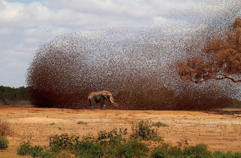 Selección de las mejores fotos de National Geographic 2012