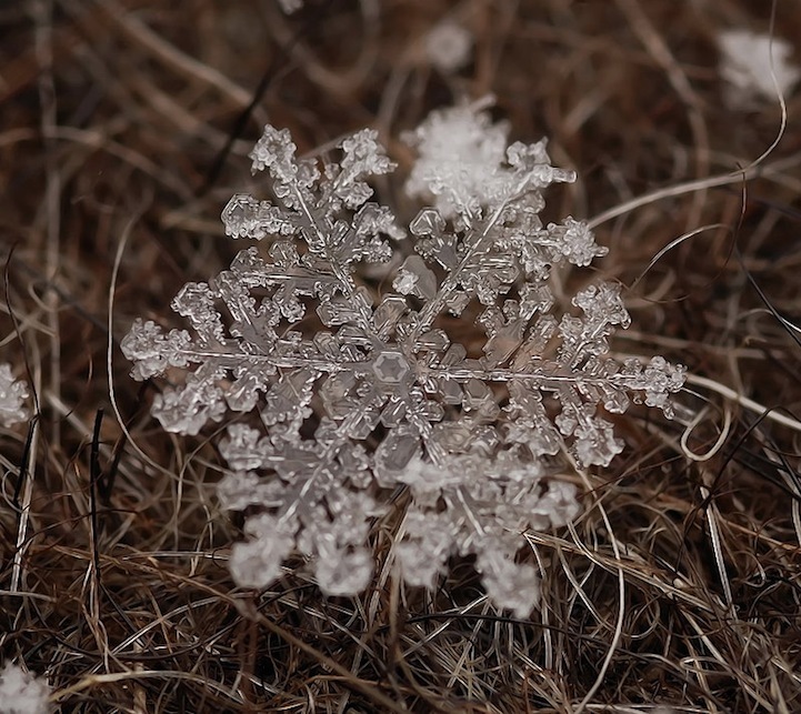 Arte de copos de nieve