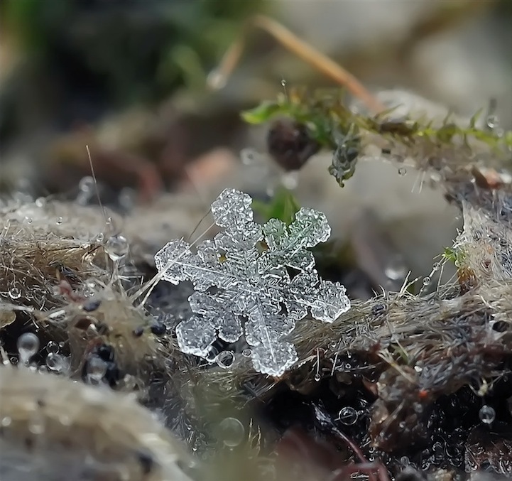 Arte de copos de nieve