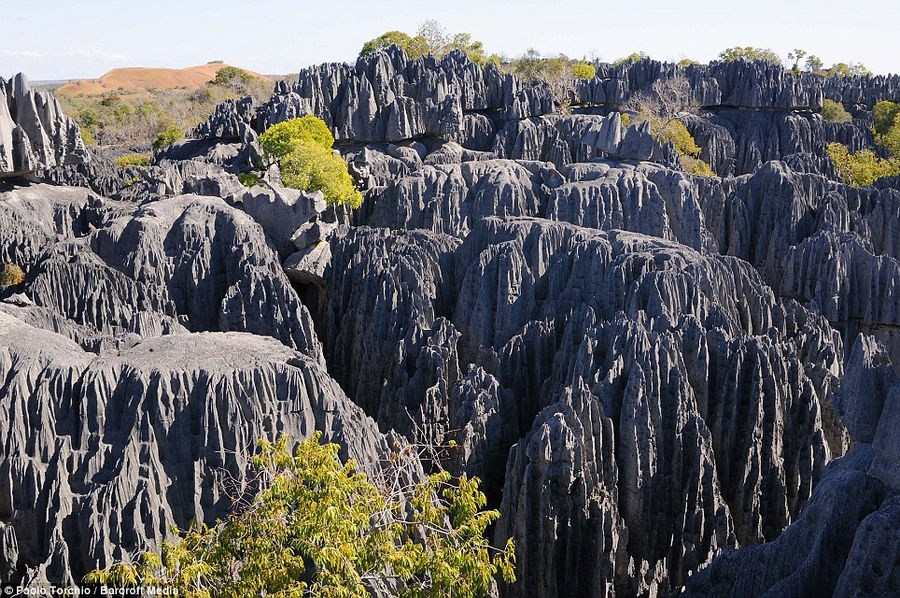 Madagascar el lugar con sistema ecológico único en el mundo 1