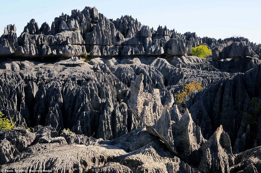 Madagascar el lugar con sistema ecológico único en el mundo 5