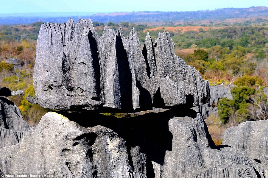 Madagascar el lugar con sistema ecológico único en el mundo 9