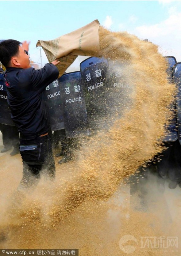 El día 7 de noviembre de 2012 en Gwangju, Corea, los manifestantes tiraban el arroz integral a la policía en las carreteras.